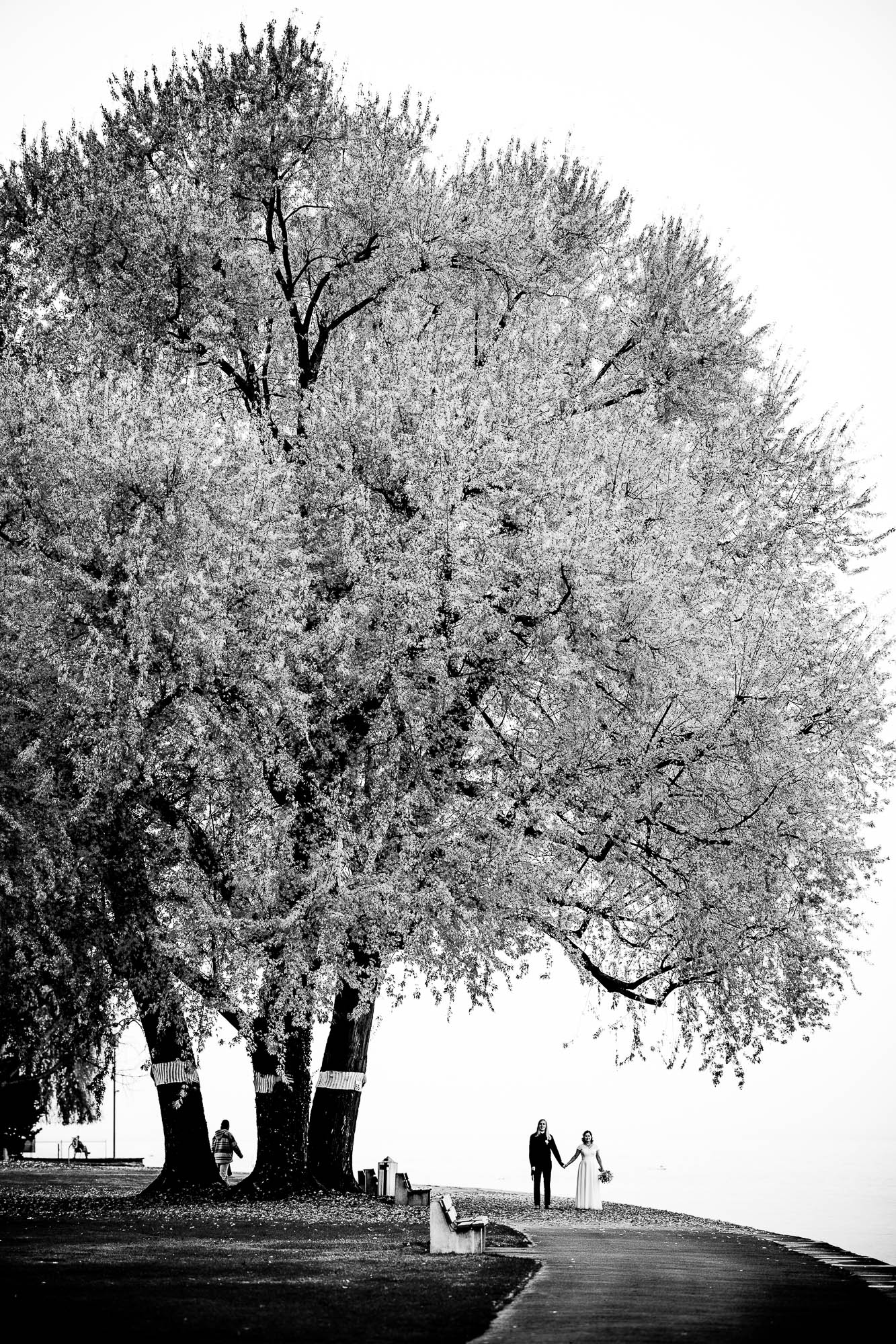 Export x3 1DX29320 Hochzeit 2020 Monika & Sharru 4